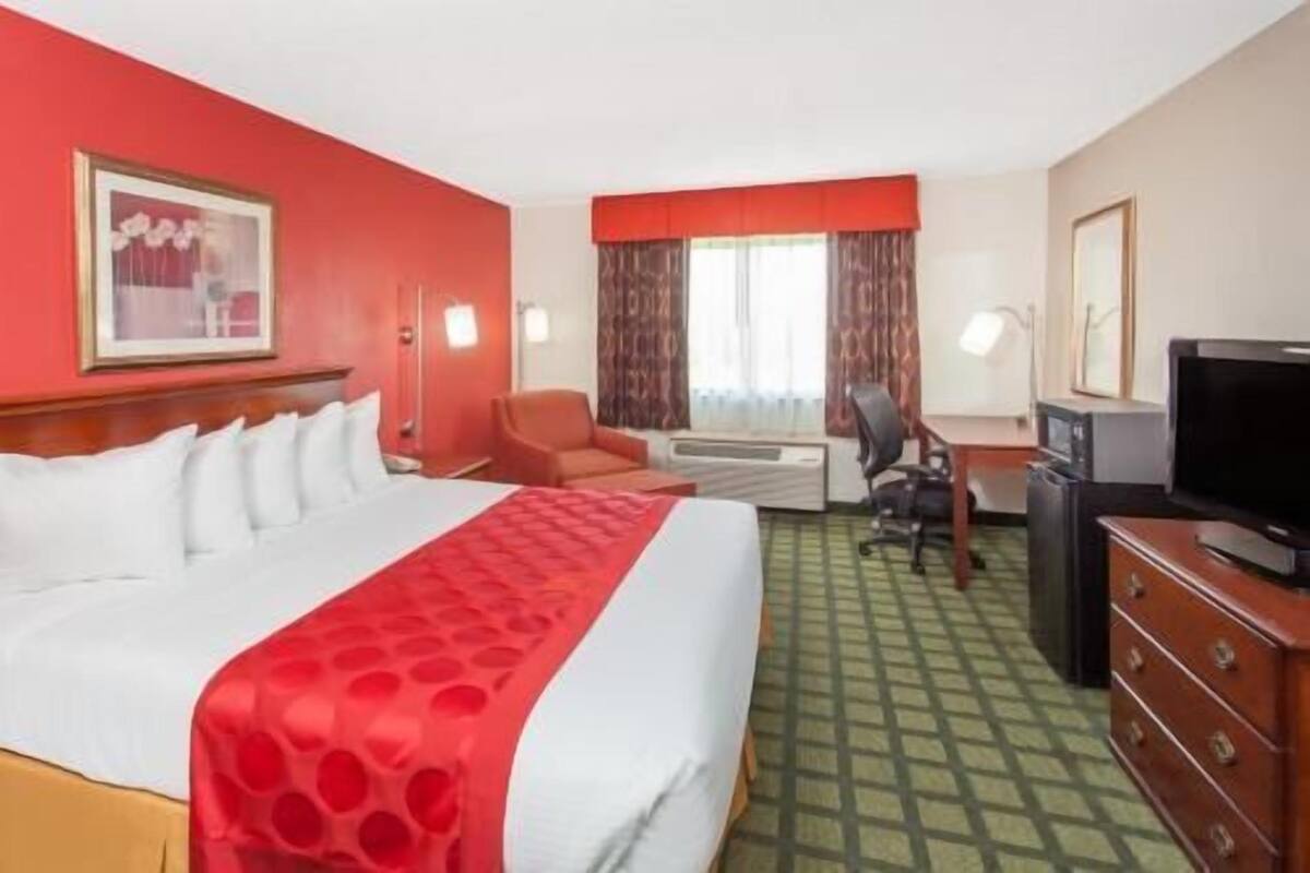 A hotel room with a bed, a desk, a chair, a television, and a dresser.