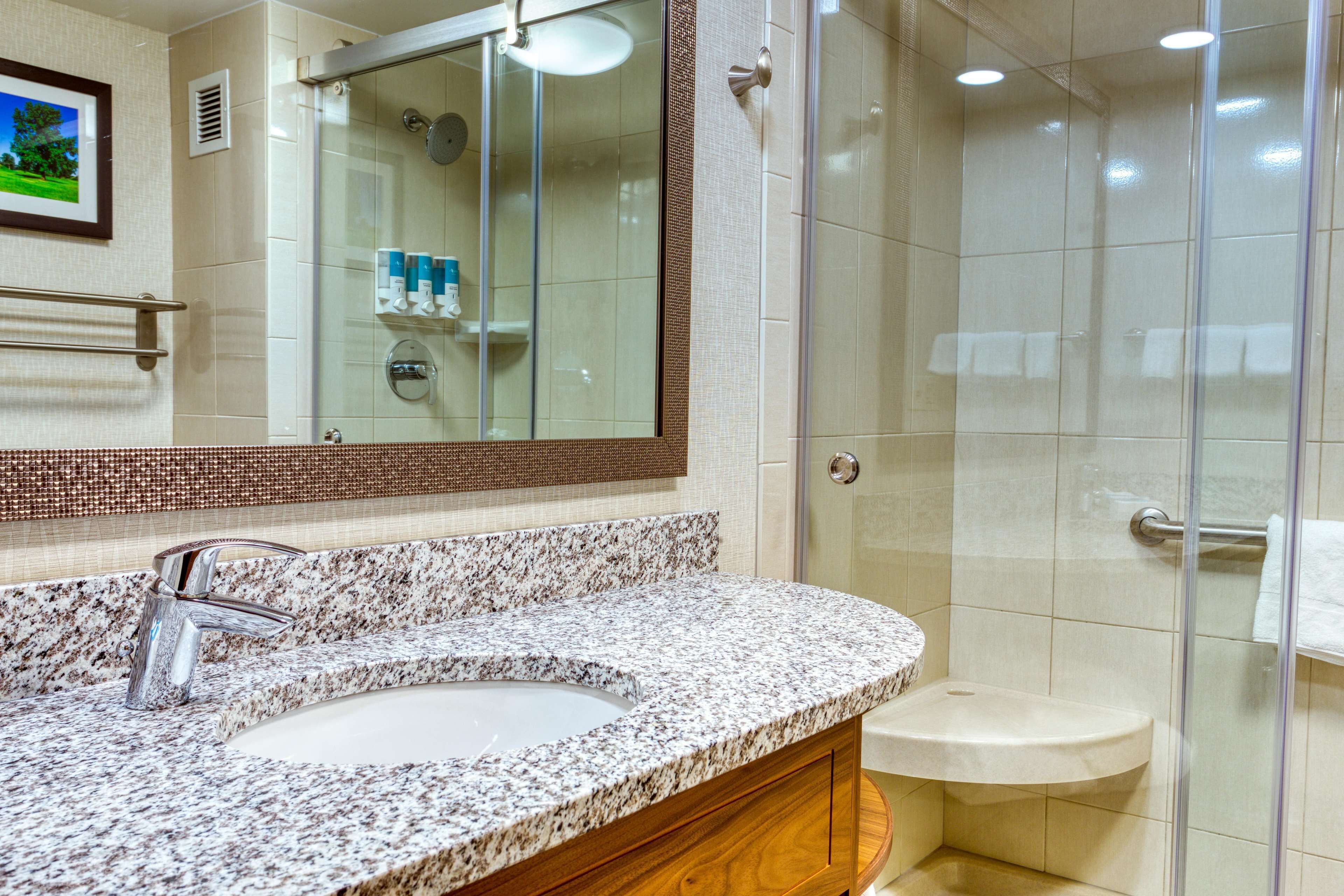 combined shower/bathtub, free toiletries, hair dryer, towels