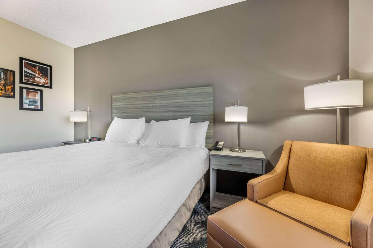 Premium bedding, pillowtop beds, desk, laptop workspace