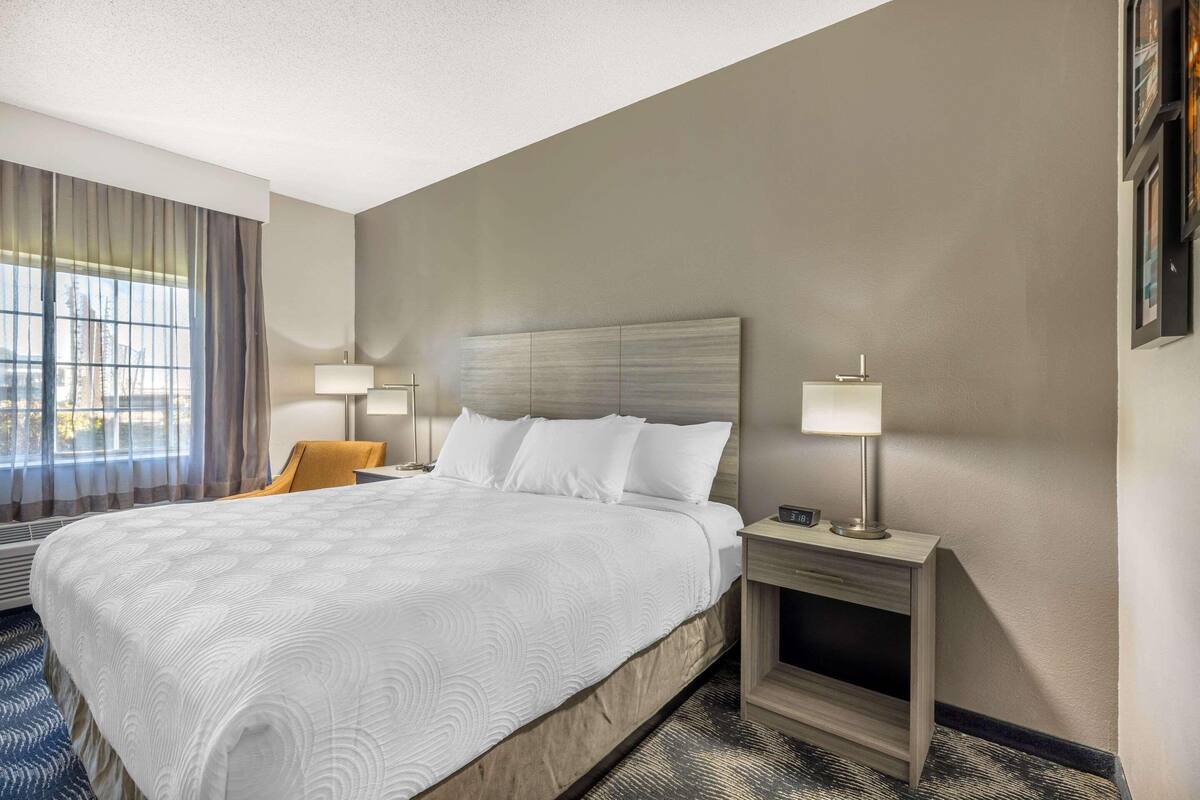 Premium bedding, pillowtop beds, desk, laptop workspace