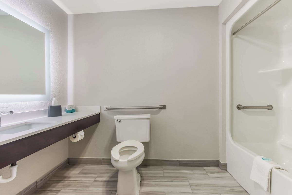 Suite, 1 grand lit, accessible aux personnes à mobilité réduite, non-fumeur (Efficiency) | Salle de bain