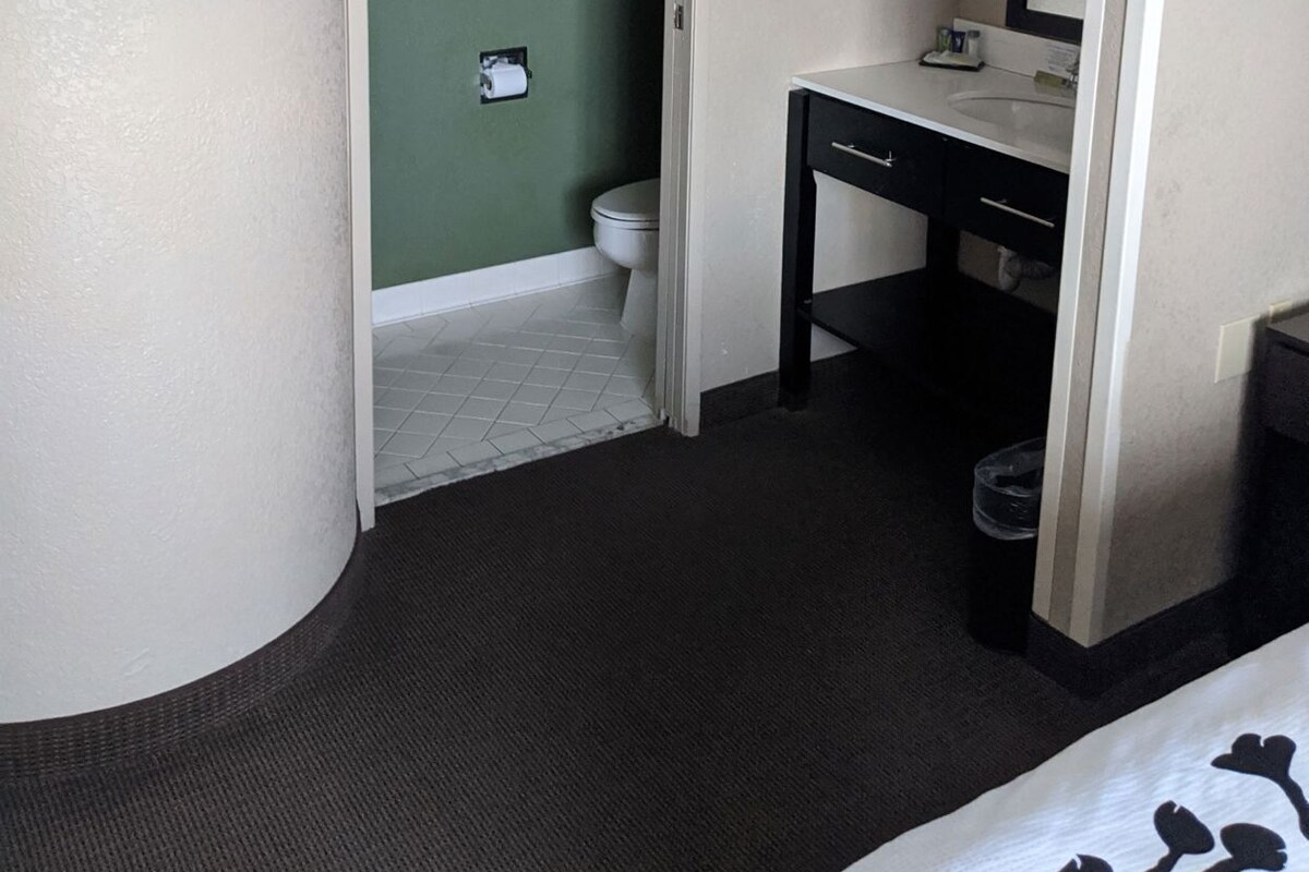 A hotel room with a green wall, a white toilet, a black sink, and a mirror.