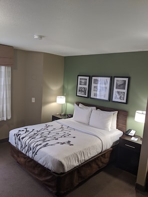 办公桌、遮光窗帘、熨斗/熨衣板、免费 WiFi