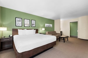Una habitación de hotel con una cama grande, un escritorio, una silla y un muro verde con cuadros enmarcados.