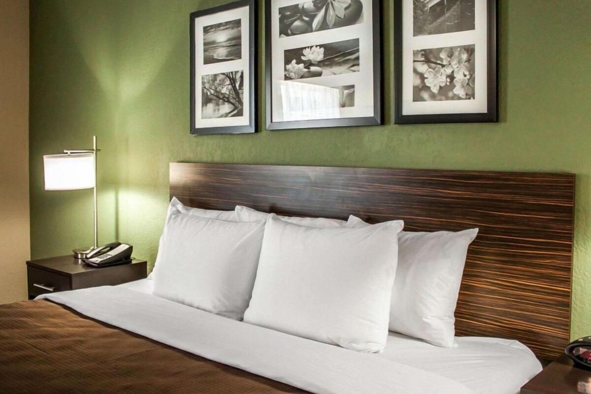 A hotel room with a bed, a nightstand with a phone, and three framed pictures on the wall.