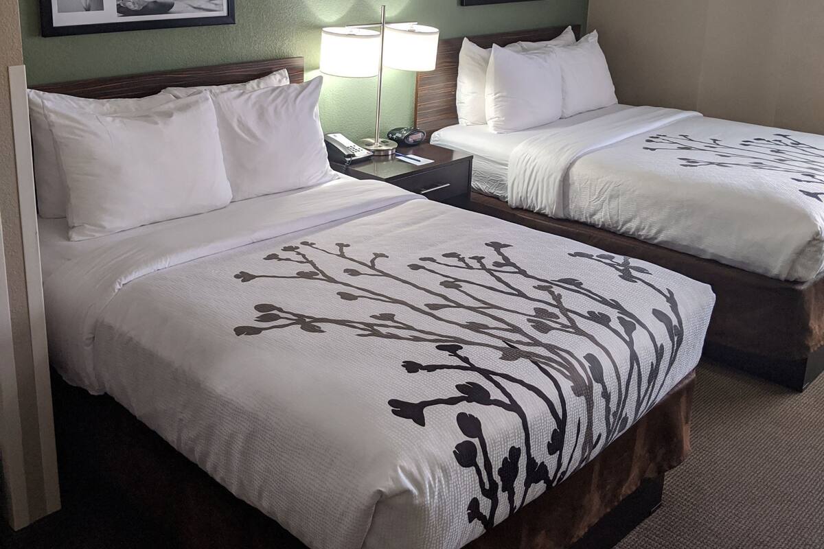 A hotel room with two beds, a nightstand with a lamp, and framed pictures on the wall.