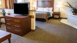 A hotel room with a bed, a TV on a wooden desk, a nightstand with a lamp, and a potted plant. - Quality Inn Lewiston (Lewiston)