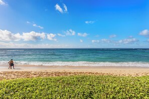 Room, 1 Bedroom, Oceanfront (Unit 192, 1 Bath) | Beach/ocean view