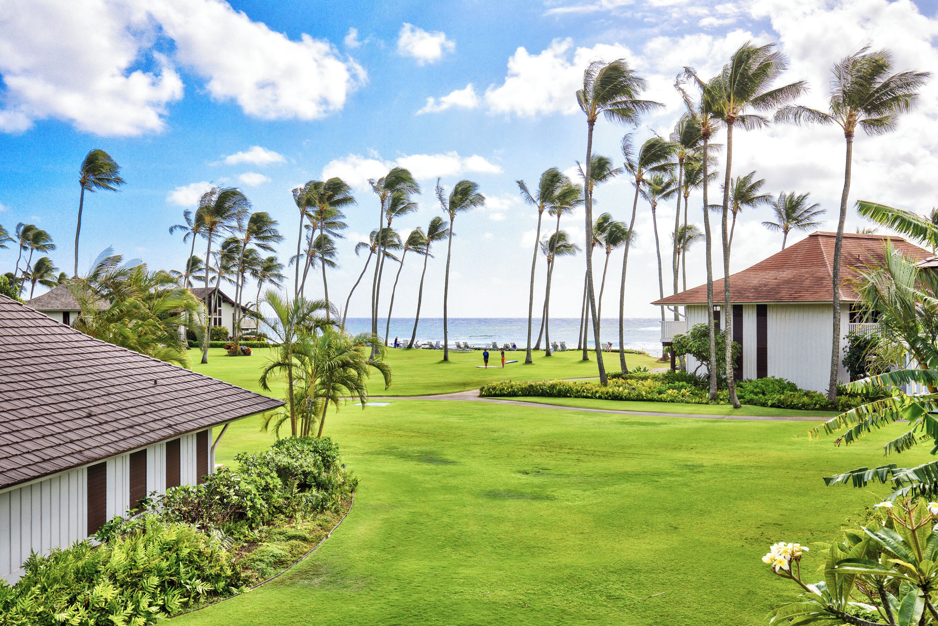 A resort with a well-maintained lawn, palm trees, and a view of the ocean.