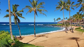 Condo, 2 Bedrooms, Ocean View | Beach/ocean view