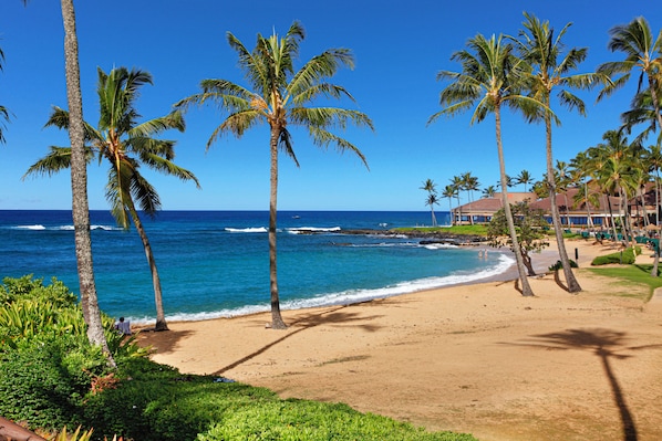 Condo, 2 Bedrooms, Ocean View | Beach/ocean view