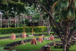 A garden setting with tables and benches, surrounded by lush greenery and palm trees.