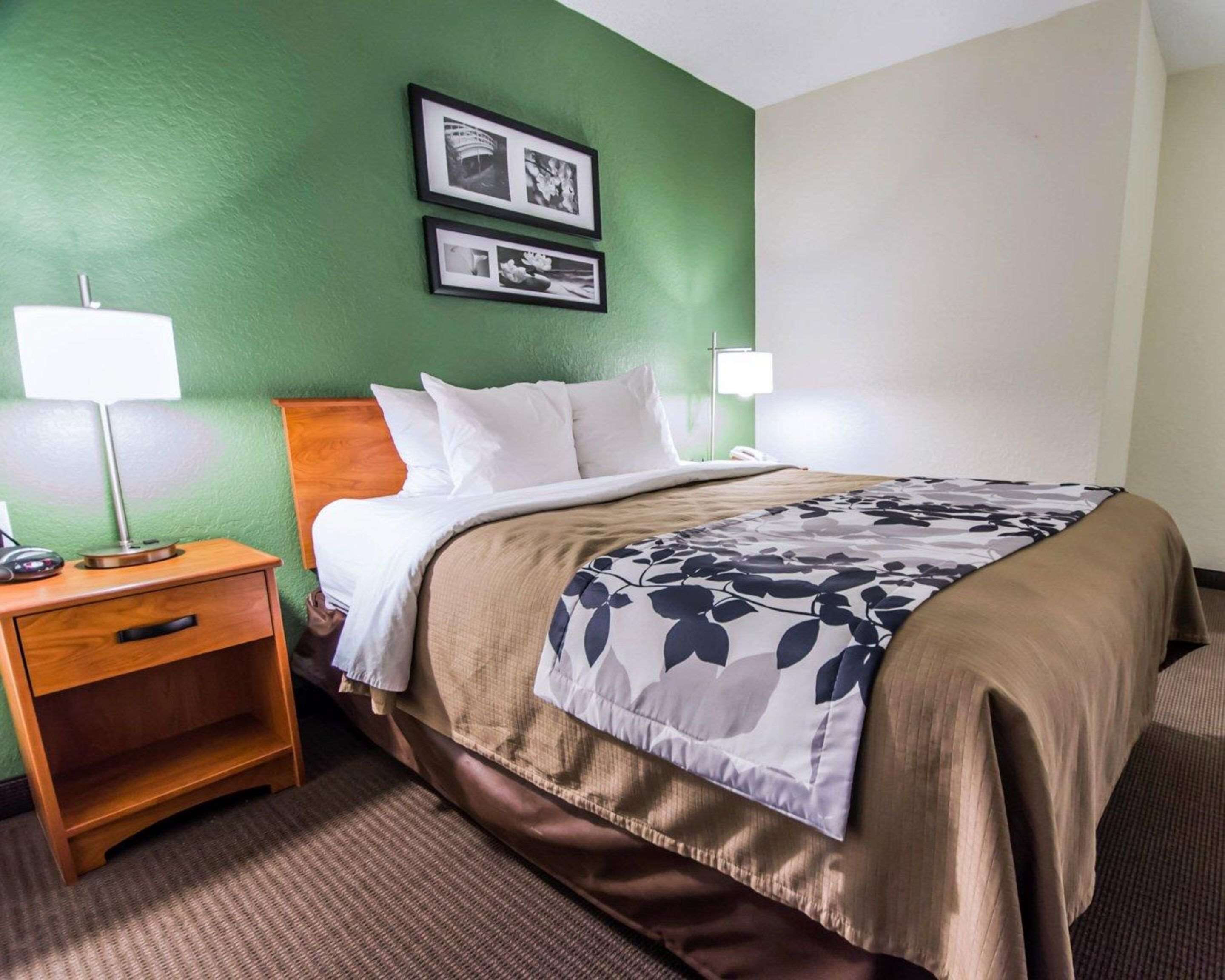 standard room, 1 king bed, non smoking | desk, iron/ironing board, free wifi, bed sheets