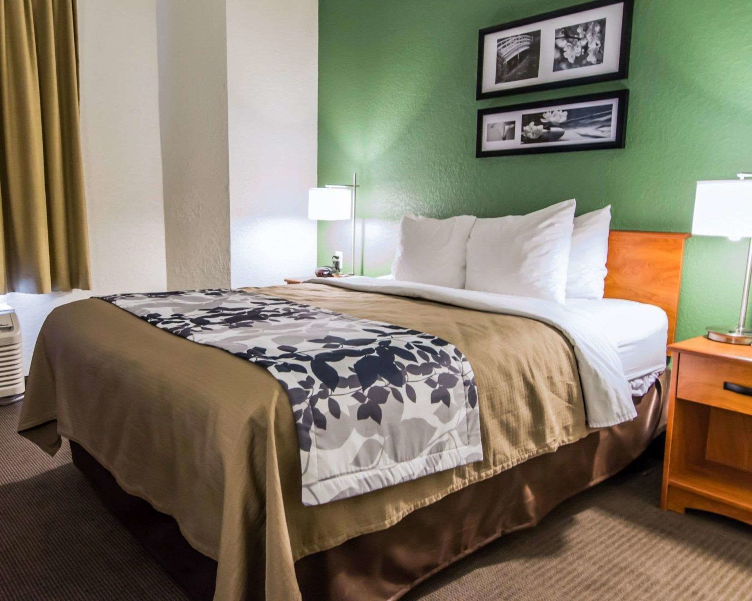 standard room, 1 king bed, non smoking | desk, iron/ironing board, free wifi, bed sheets