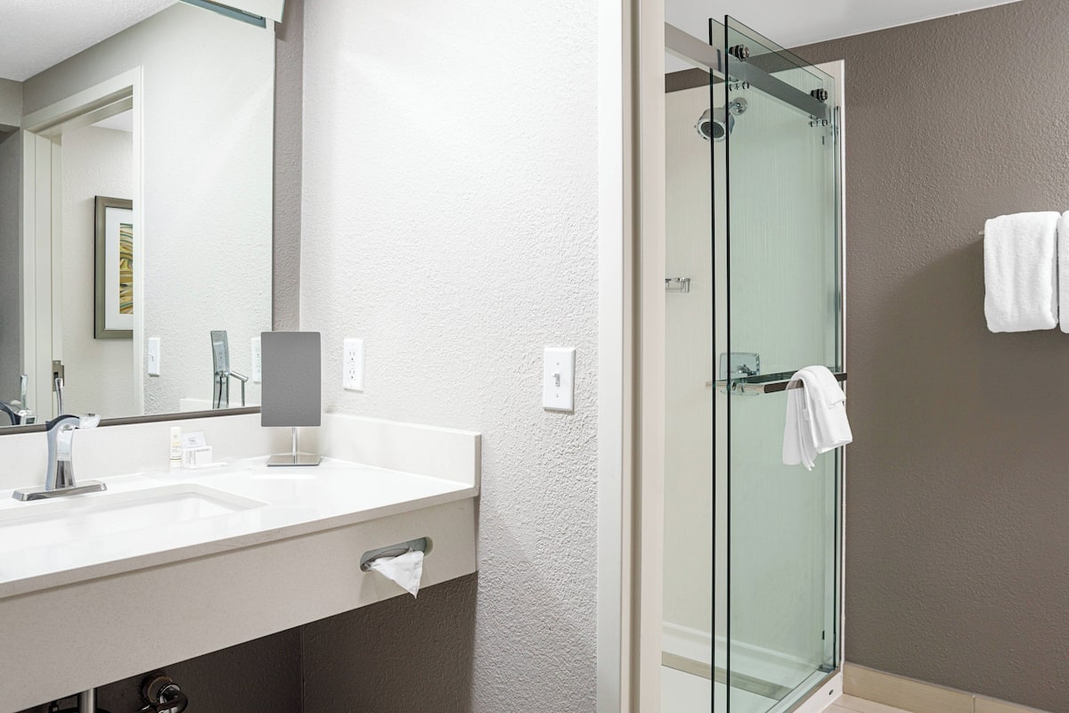 combined shower/bathtub, free toiletries, hair dryer, towels