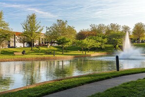 Ein Park mit einem Teich, Bänken, Bäumen und einem Gebäude im Hintergrund.