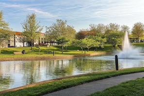 Property amenity