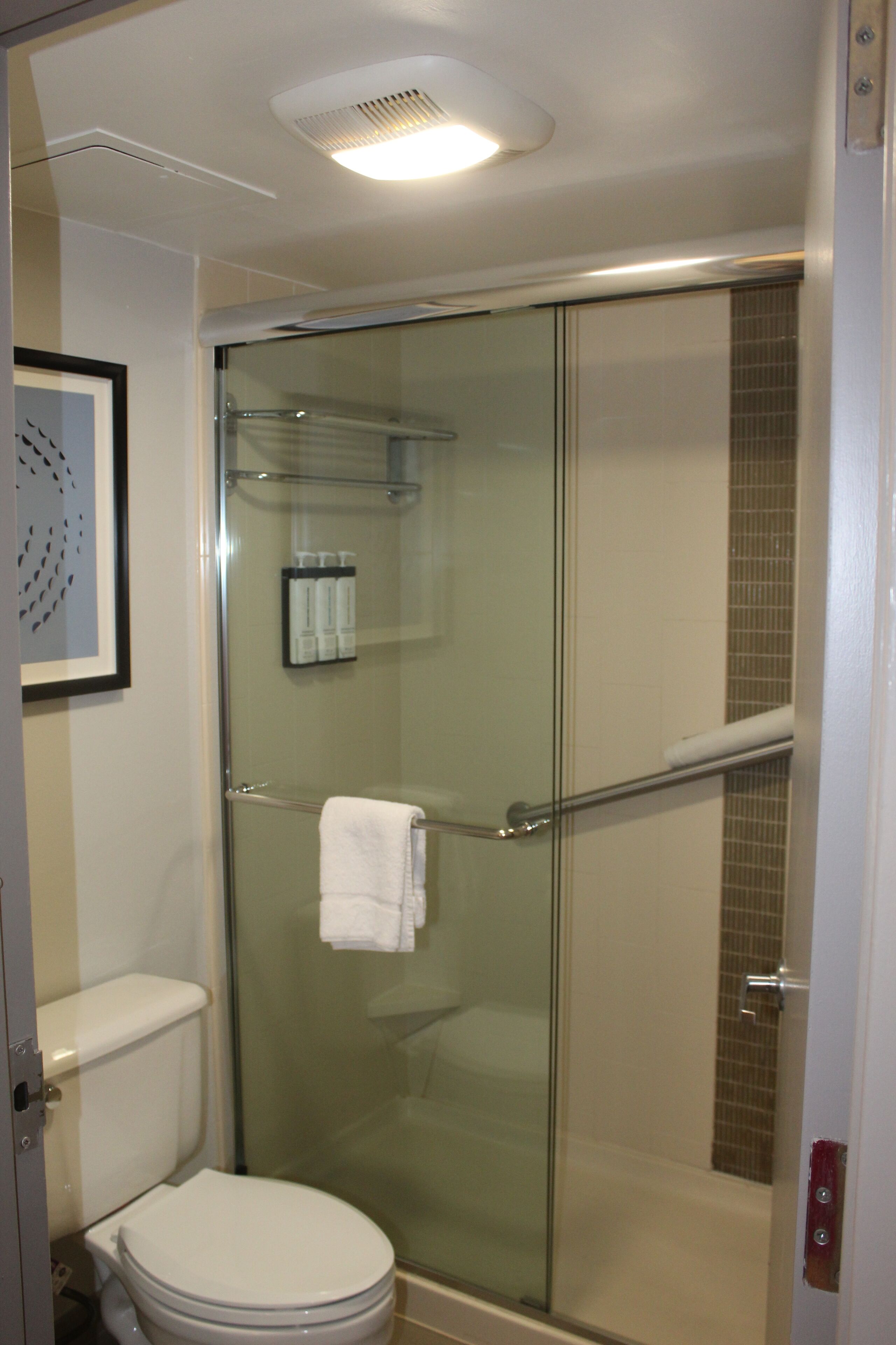 A modern bathroom with a glass-enclosed shower, a toilet, and a framed artwork on the wall.