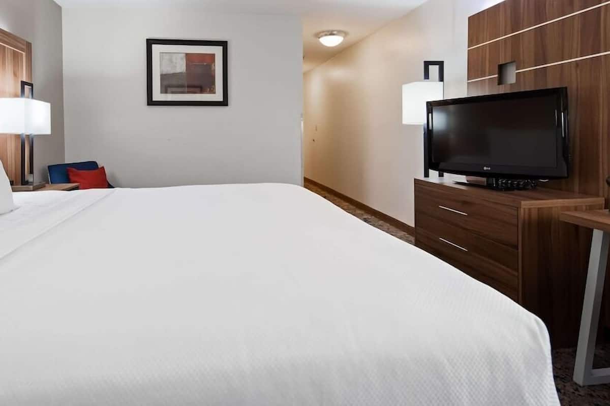 A hotel room with a large bed, a desk with a flat-screen TV, a chair, a nightstand with a lamp, and a framed picture on the wall.