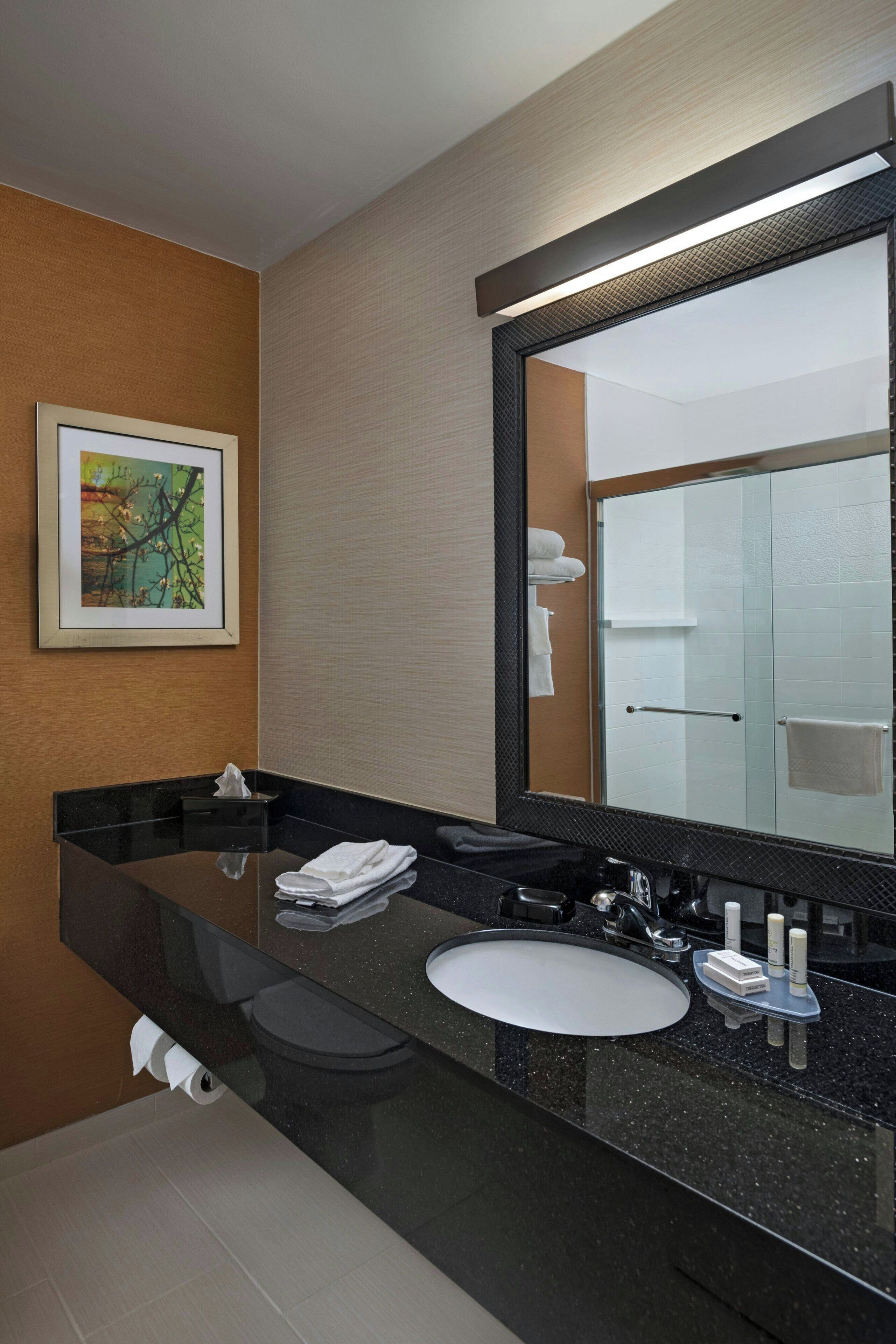 combined shower/bathtub, free toiletries, hair dryer, towels