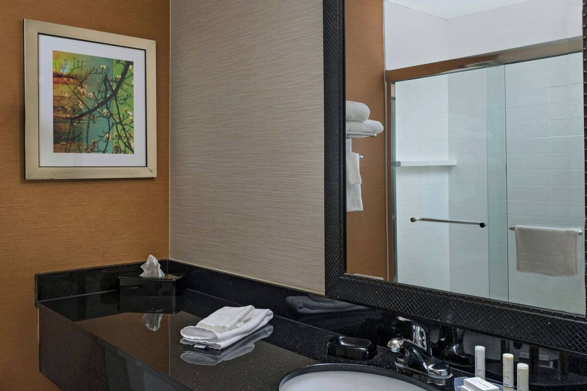 combined shower/bathtub, free toiletries, hair dryer, towels