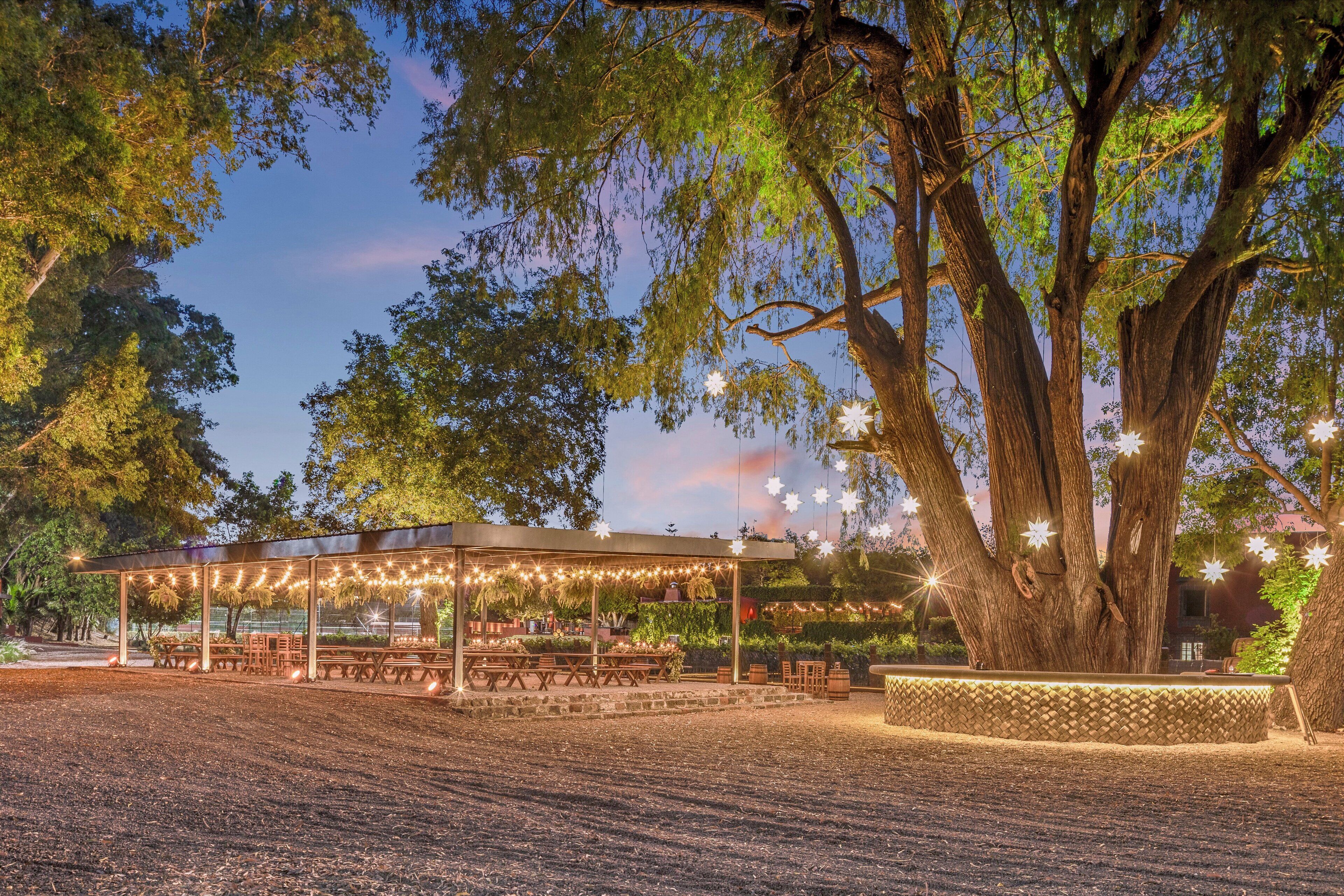 A covered outdoor seating area with tables and chairs, surrounded by trees and string lights.