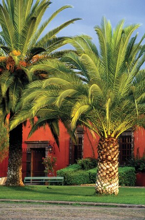 Fachada