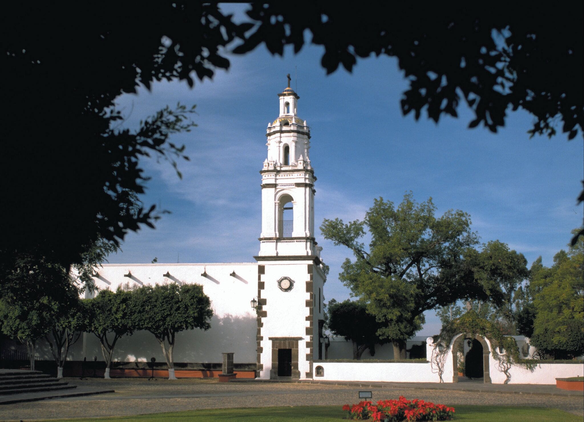 Servicio de la propiedad
