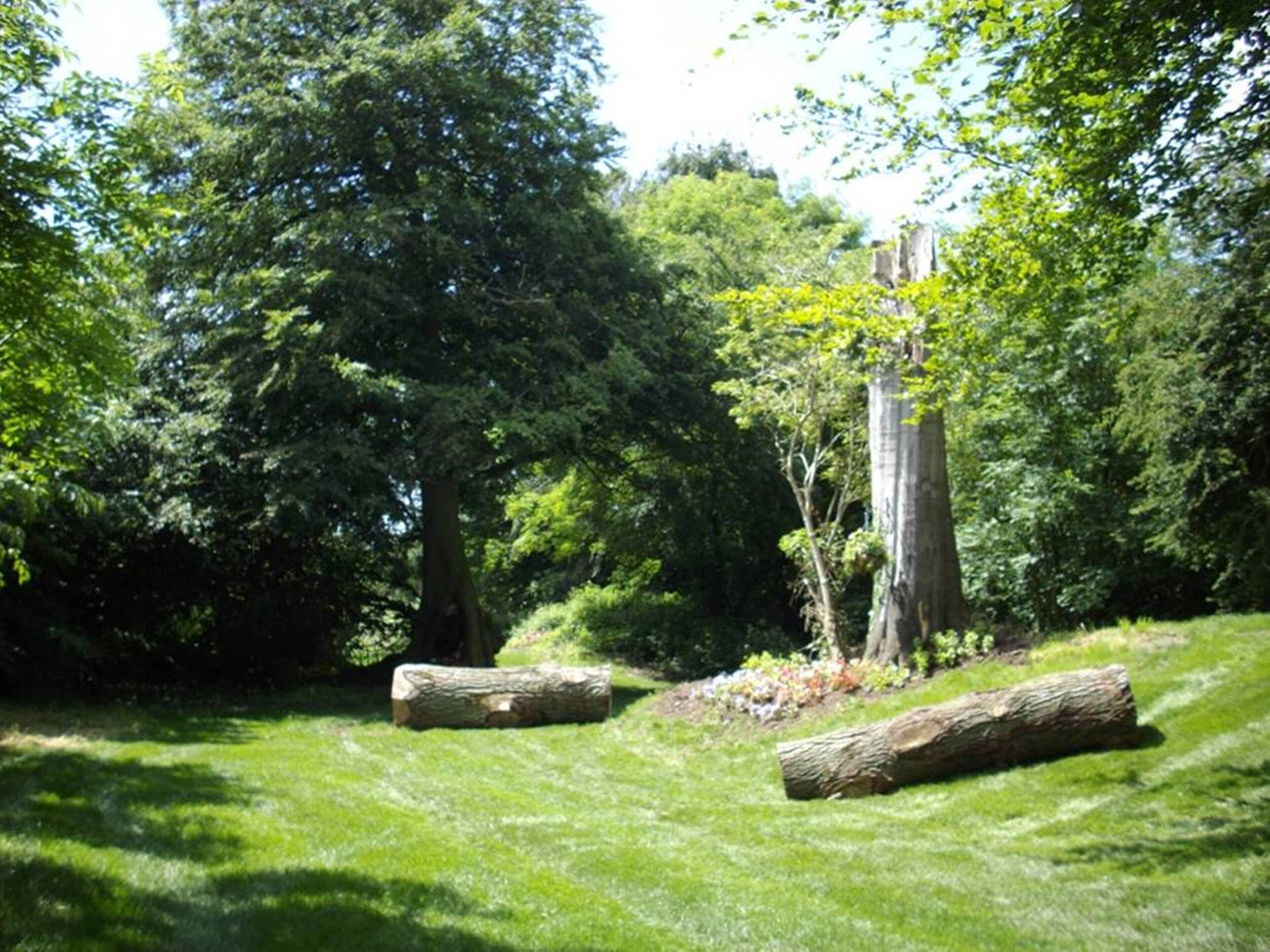 A grassy area with two large logs and a tree.