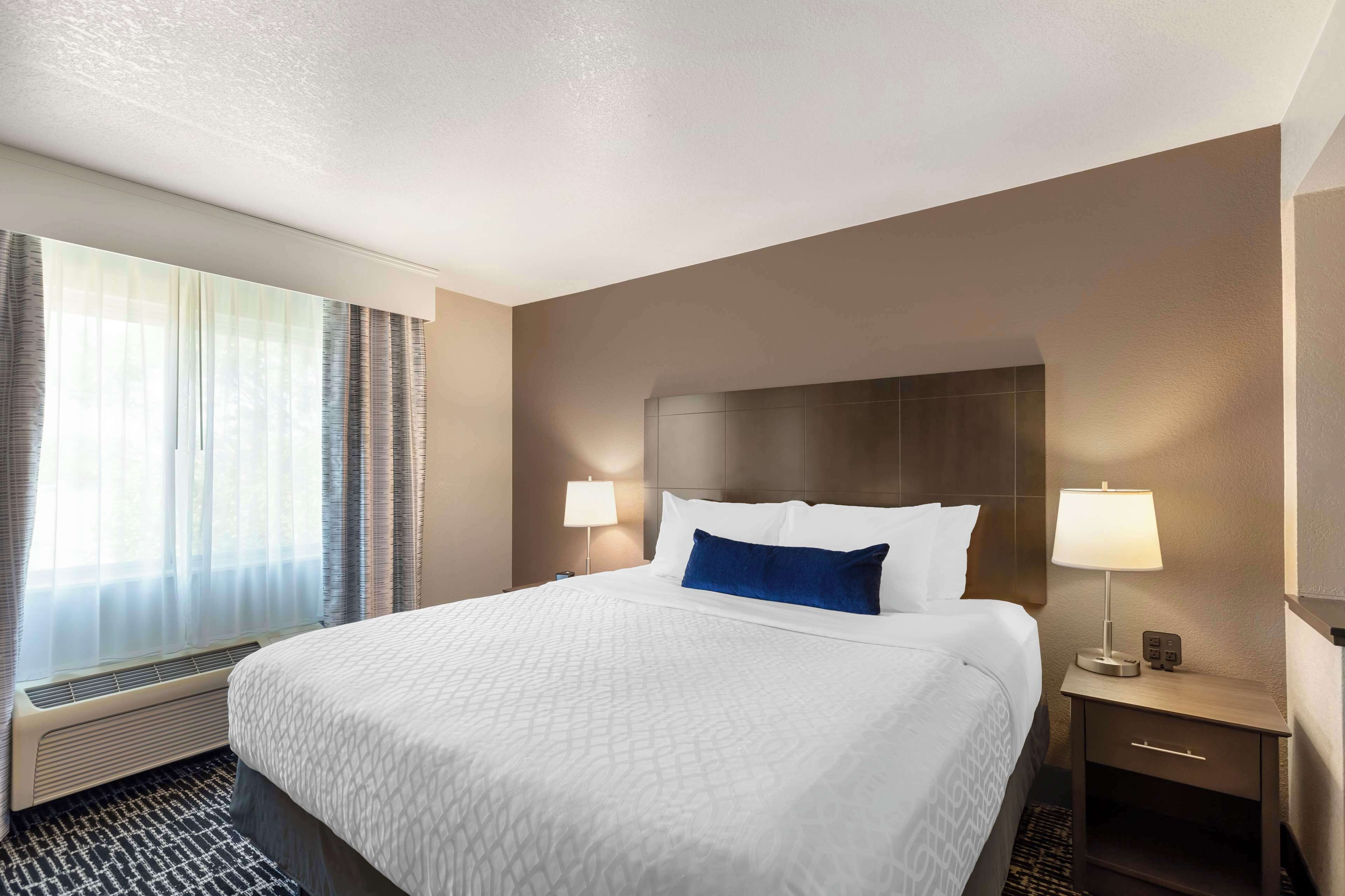 suite, 1 king bed with sofa bed, non smoking, refrigerator & microwave (with sofabed) | premium bedding, pillow-top beds, desk, laptop workspace