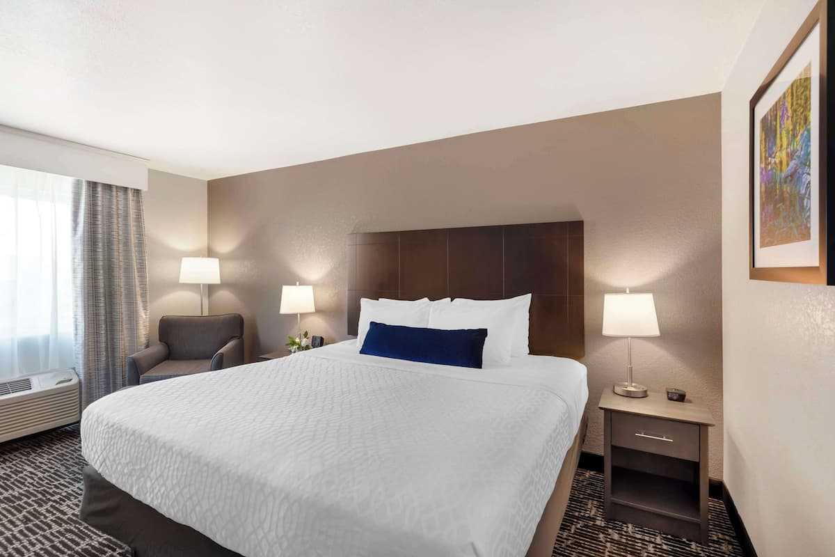 A hotel room with a large bed, two bedside tables with lamps, a chair, and a window with curtains.