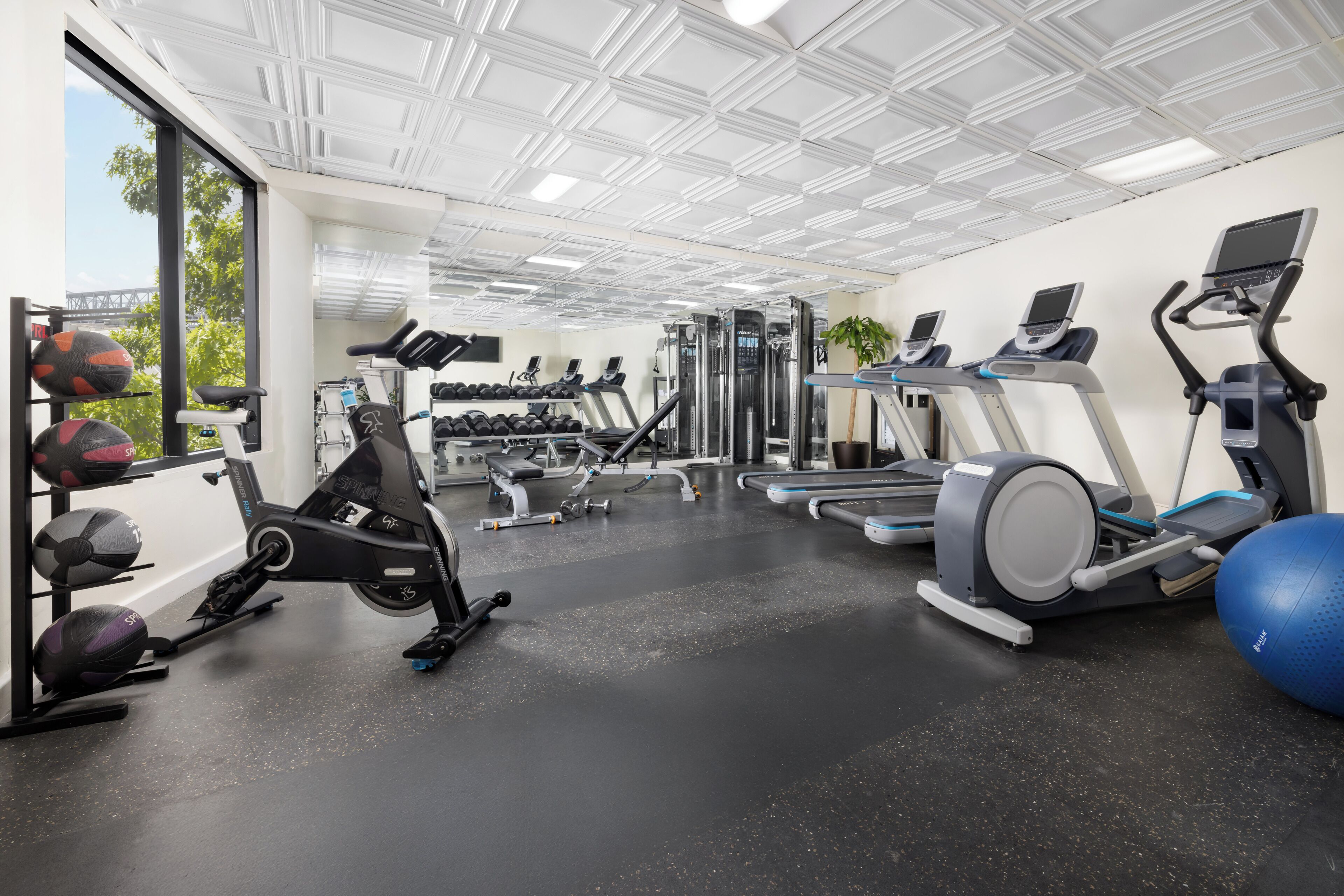 Gym