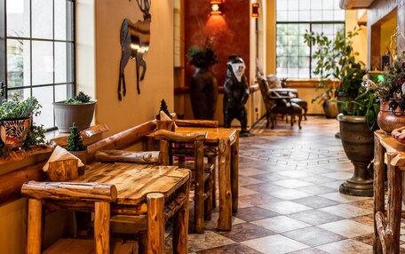 A rustic interior with wooden benches, a chandelier, and a deer wall decoration.