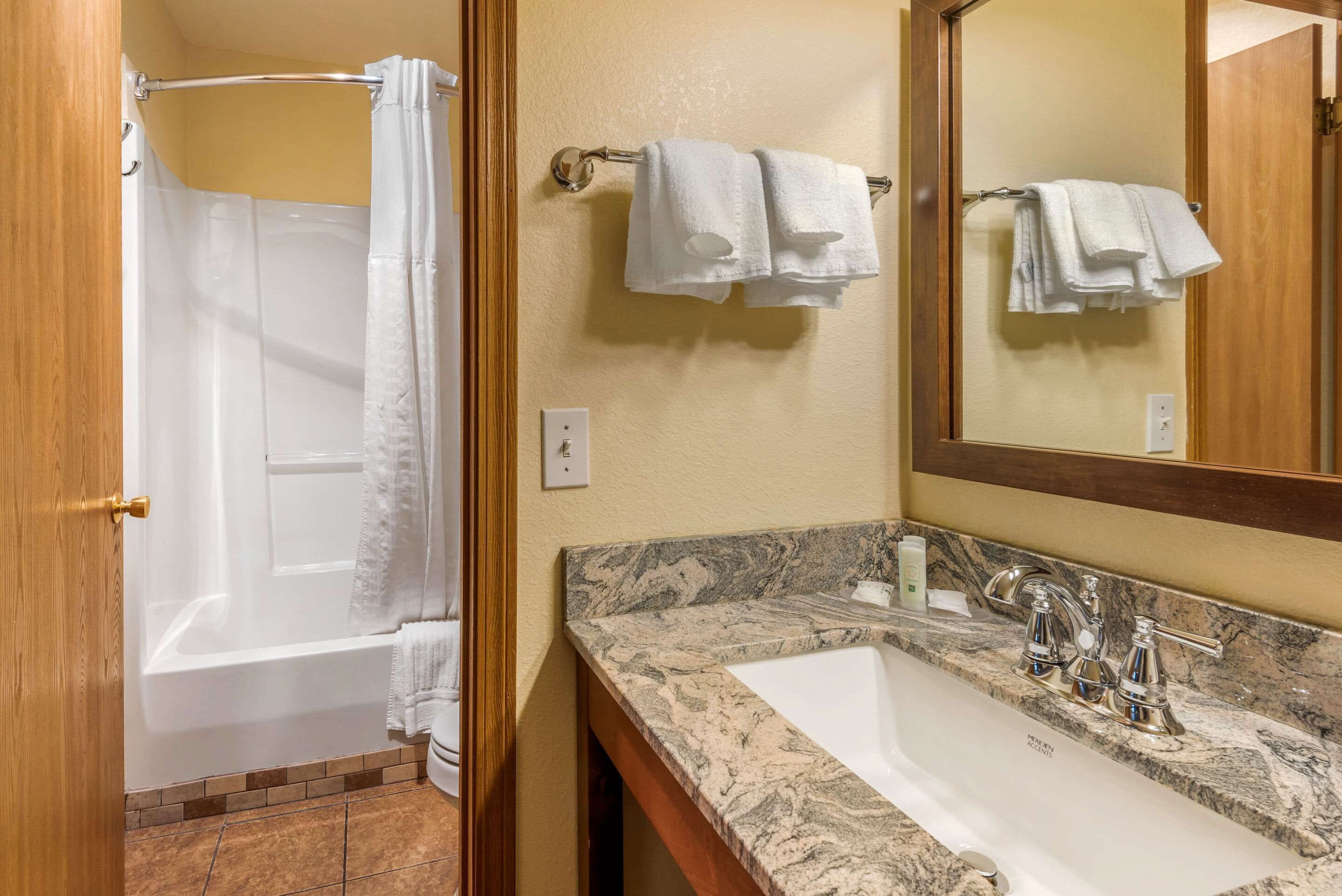 standard suite, 2 queen beds | bathroom | combined shower/bathtub, spring water bathtub, hydromassage showerhead