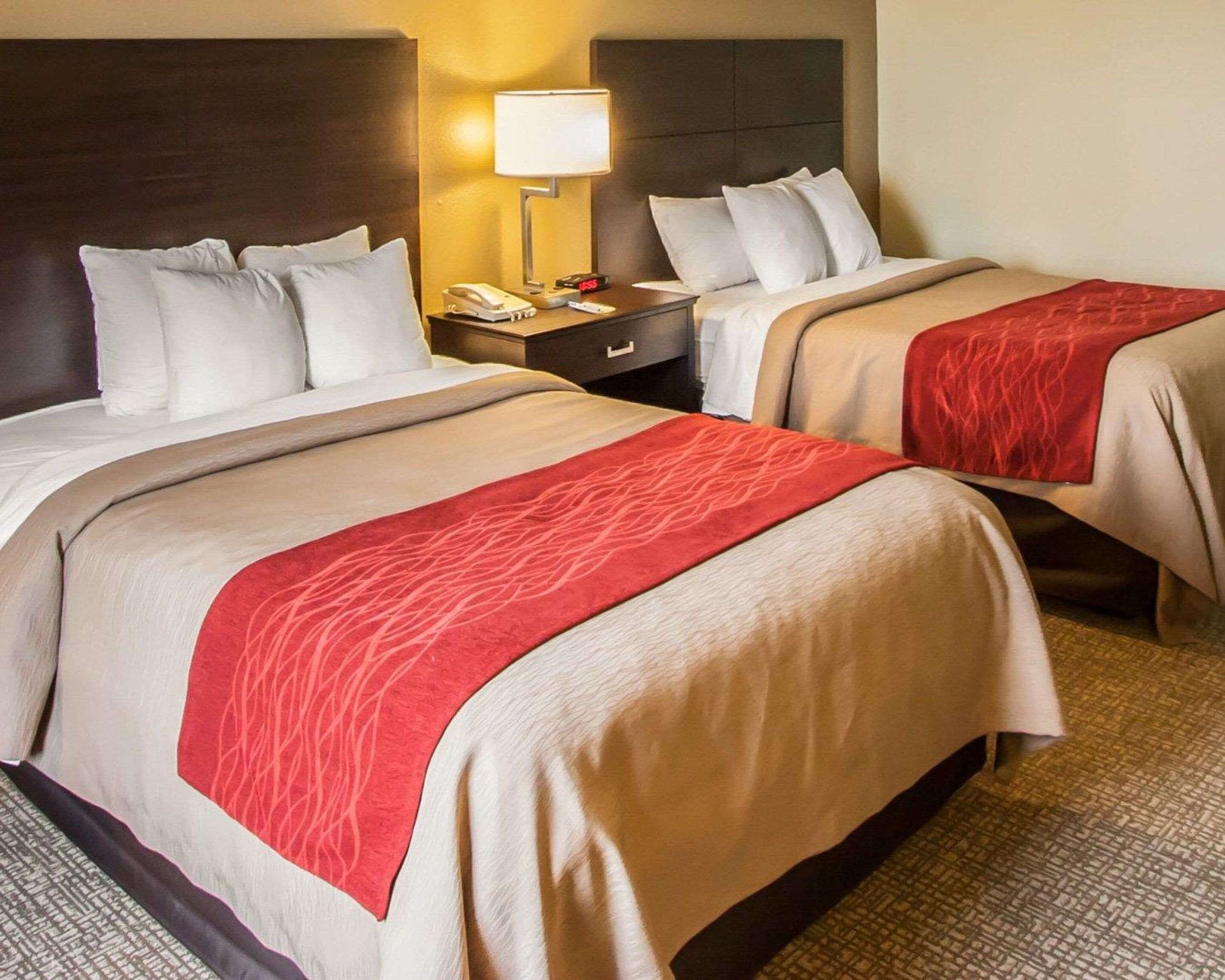 A hotel room with two beds, each with a red and beige bedspread, a nightstand with a lamp, a phone, and a clock.