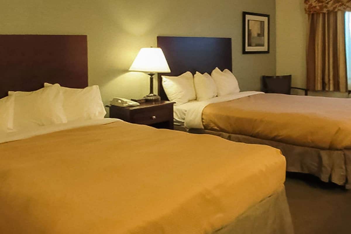 A hotel room with two beds, a nightstand with a lamp, and a framed picture on the wall.