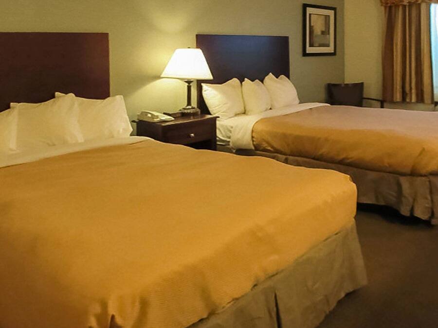 A hotel room with two beds, a nightstand with a lamp, and a framed picture on the wall.