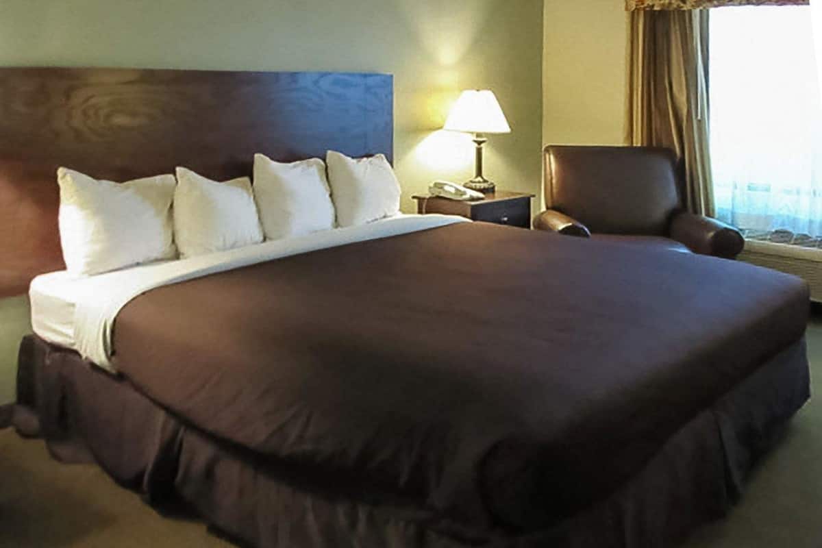 A large bed with a dark brown bedspread and white pillows, a wooden headboard, a bedside lamp, a chair, and a window with curtains.