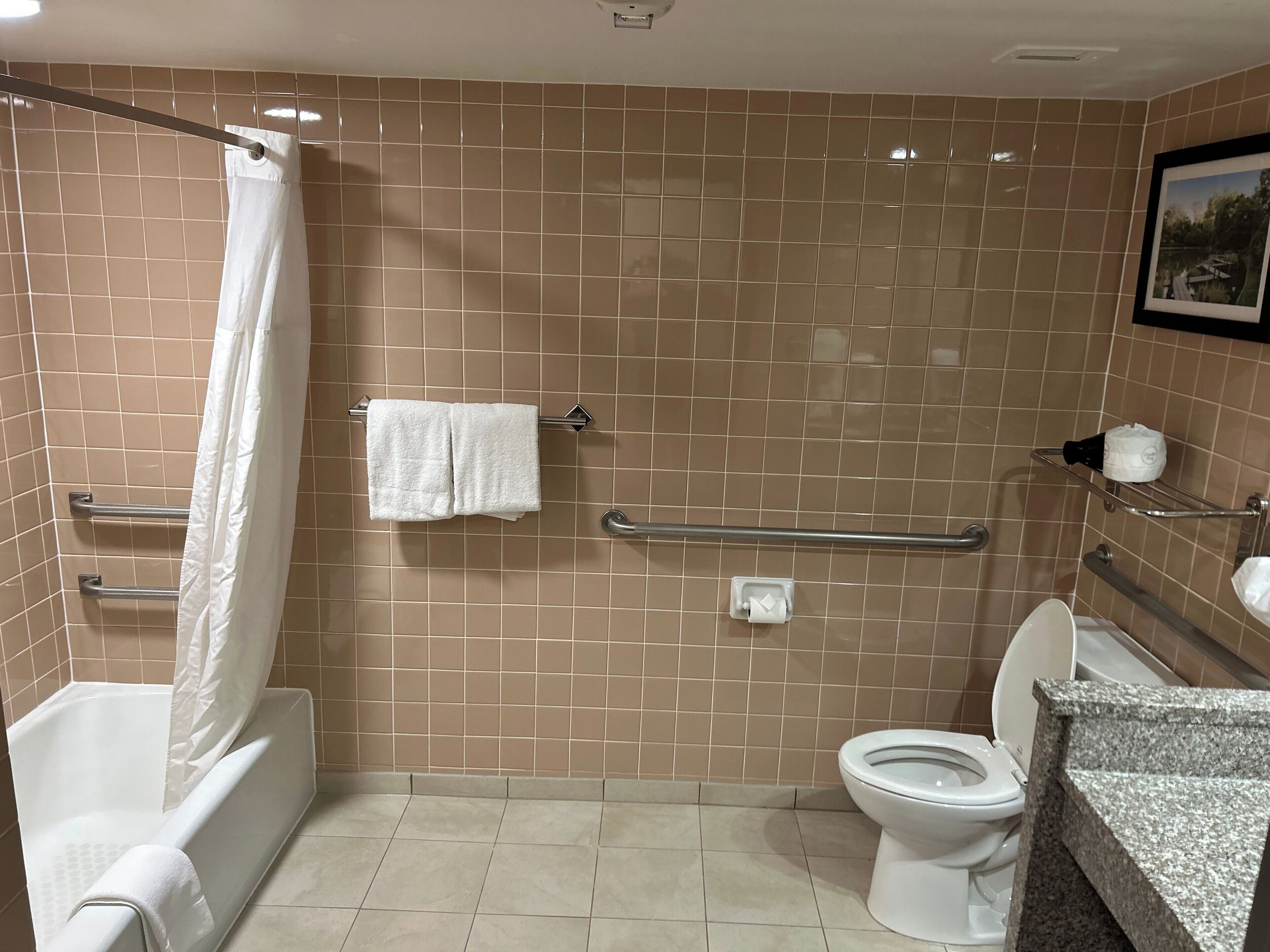 Un baño con ducha, inodoro y lavamanos con encimera de granito.