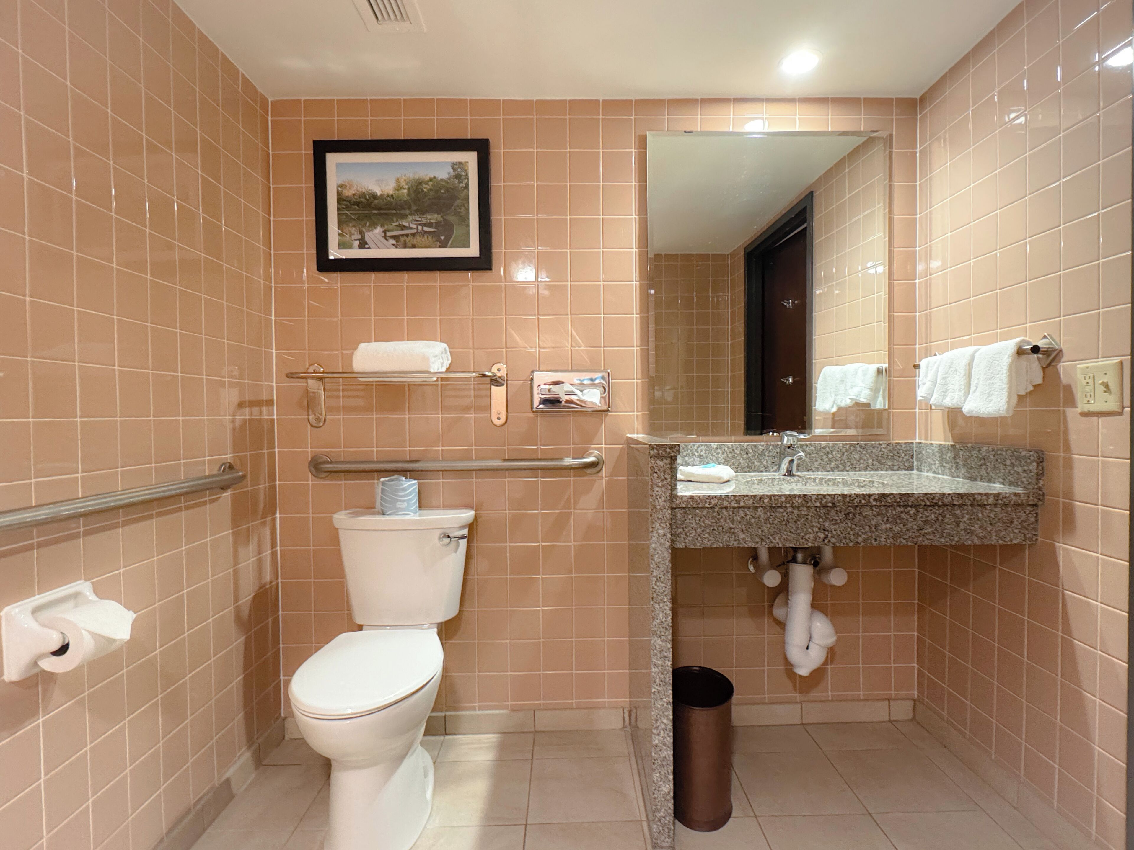 A bathroom with a toilet, sink, and mirror.