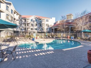 Outdoor pool, pool loungers