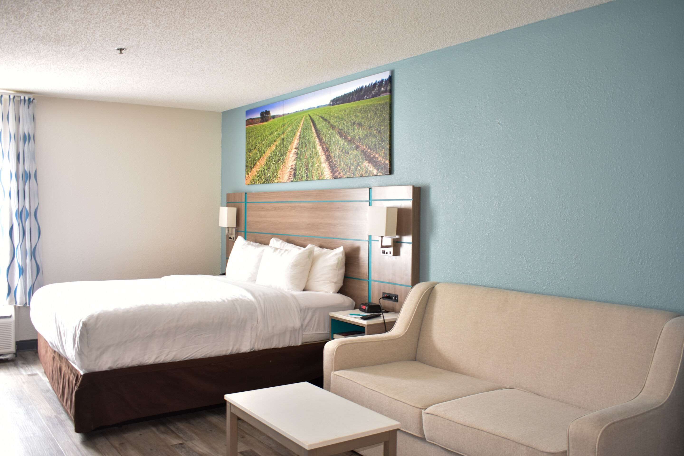 Een hotelkamer met een bed, een slaapbank, een nachtkastje en een schilderij van een veld aan de muur.
