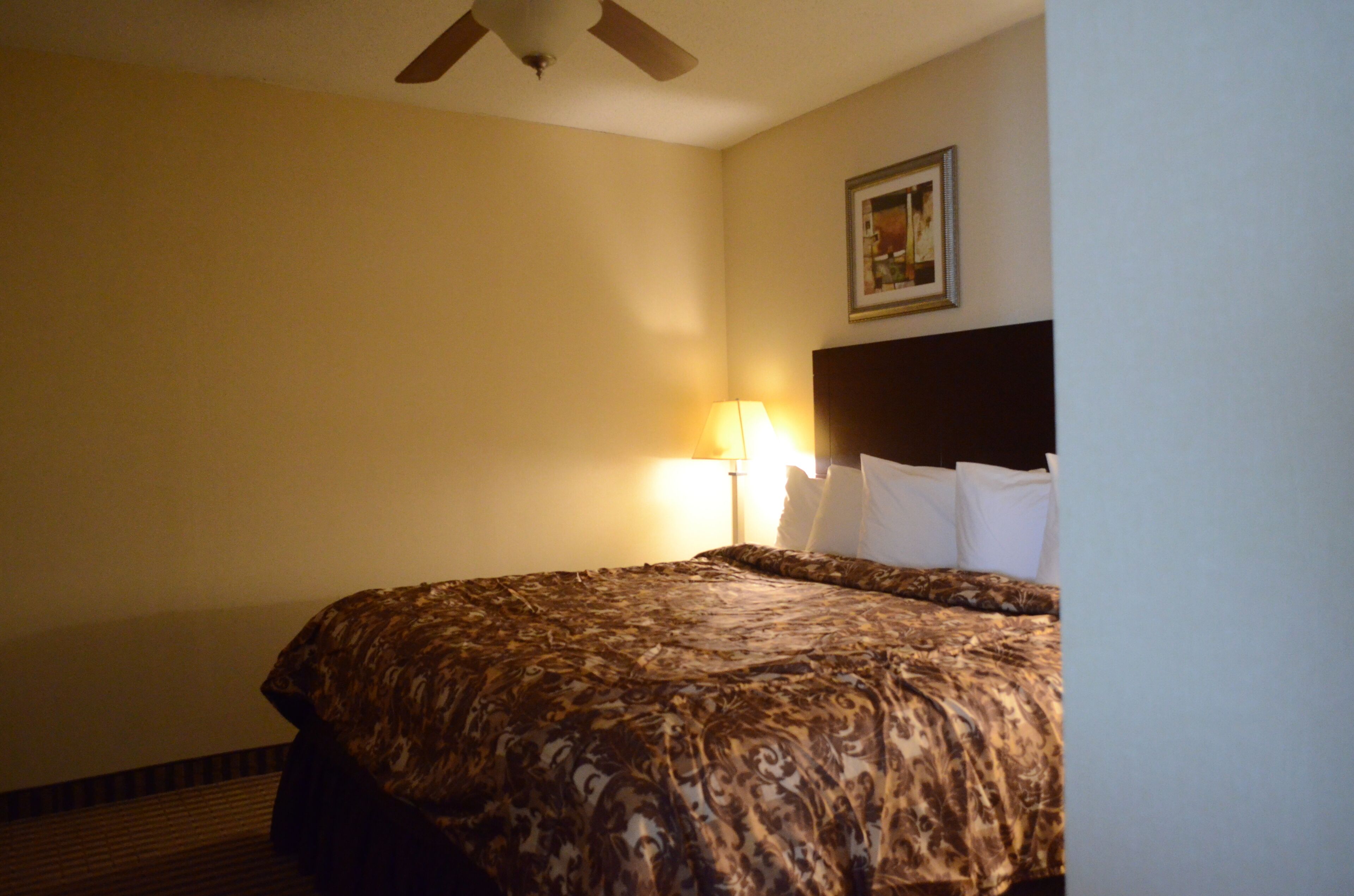 Una camera d'albergo con un letto, una ventola a soffitto, una lampada e un quadro appeso al muro.