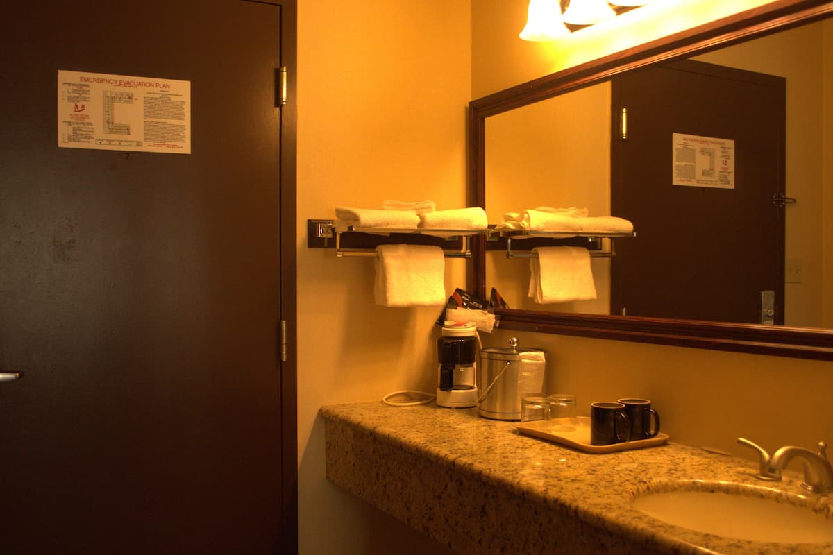 combined shower/bathtub, free toiletries, hair dryer, towels