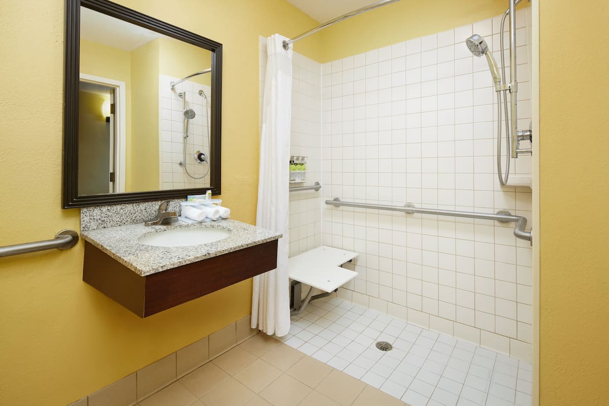 Standard Room, 1 King Bed, Accessible (Mobility, Roll-In Shower)