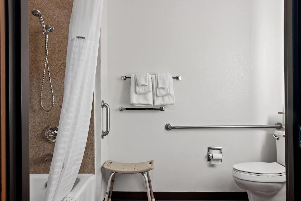 Ein Badezimmer mit Dusche, Toilette, einer Haltestange, einem Handtuchhalter und einem kleinen Hocker.