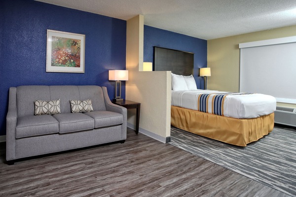 Suite, 1 King Bed | Premium bedding, desk, iron/ironing board, free WiFi
