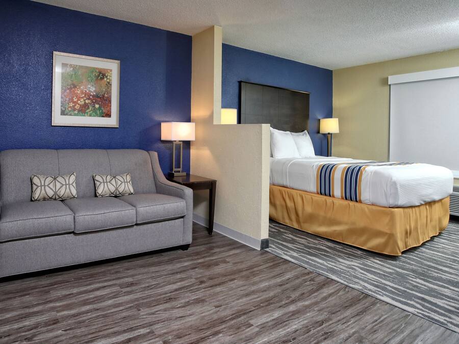 Suite, 1 King Bed | Premium bedding, desk, iron/ironing board, free WiFi