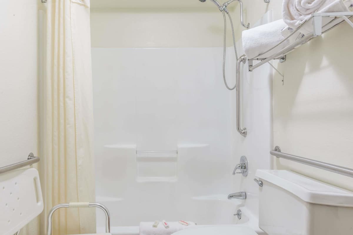 combined shower/bathtub, free toiletries, hair dryer, towels