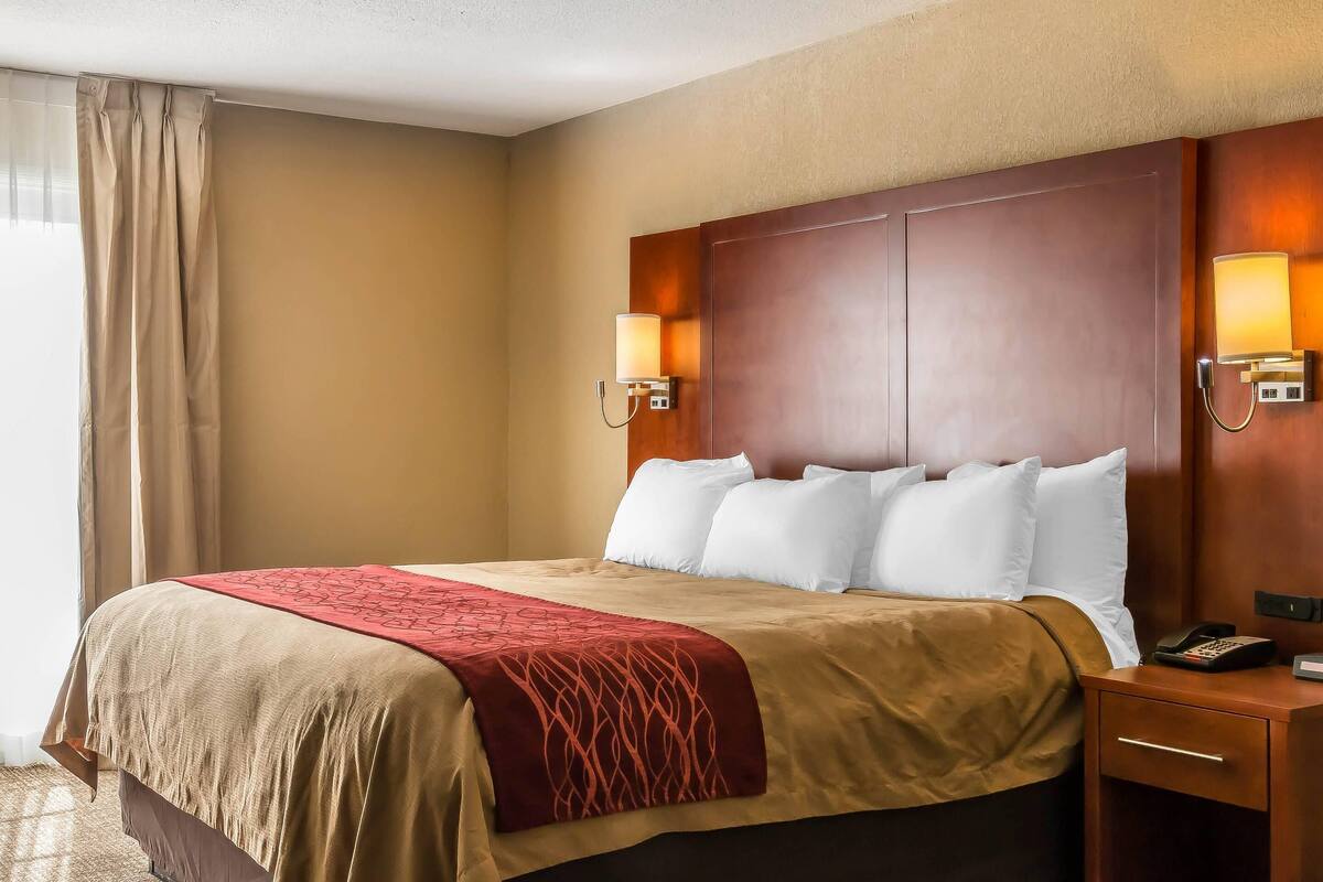 A hotel room with a large bed, two bedside lamps, a wooden headboard, and a nightstand with a phone.